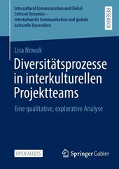 Diversitatsprozesse in interkulturellen Projektteams