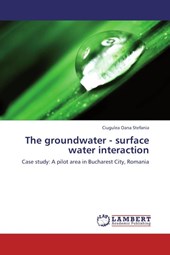 The groundwater - surface water interaction