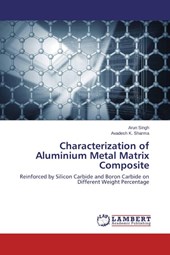 Characterization of Aluminium Metal Matrix Composite