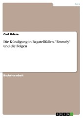 Die Kündigung in Bagatellfällen. "Emmely" und die Folgen
