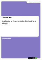 Stochastische Prozesse auf selbstähnlichen Mengen