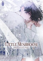Little Mushroom - wrong but still right 3