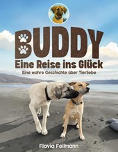 Buddy - Eine Reise ins Glück