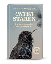 Unter Staren