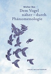 Dem Vogel näher - durch Phänomenologie