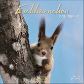 Squirrels 2026
