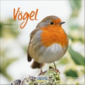 Vögel 2026