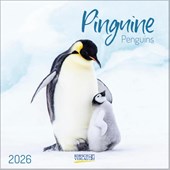 Pinguins 2026