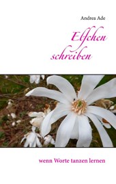 Elfchen schreiben