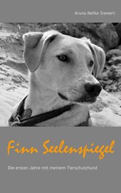 Finn Seelenspiegel