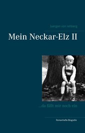 Mein Neckar-Elz II