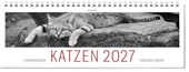 Tischkalender Katzen 2027