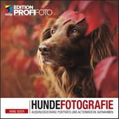 Hundefotografie