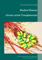 Shadow Disease chronic active Toxoplasmosis