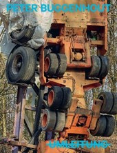 PETER BUGGENHOUT: UMLEITUNG