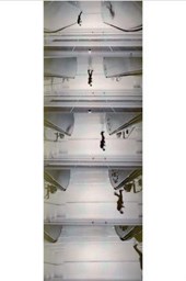 Peter Fischli. Addition, Subtraction, Multiplication