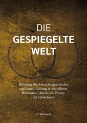 Die gespiegelte Welt