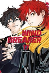 Wind Breaker 17