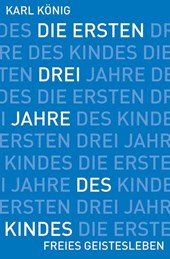 Die ersten drei Jahre des Kindes