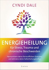 Energieheilung für Stress, Trauma und chronische Beschwerden