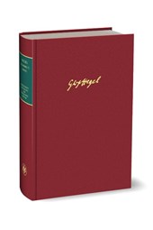 Vorlesungen über die Philosophie der Natur IV