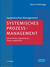 Systemisches Prozessmanagement