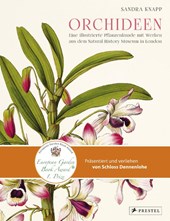 Orchideen