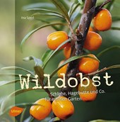 Wildobst