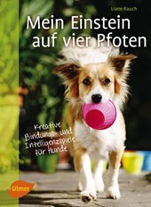 Mein Einstein auf vier Pfoten