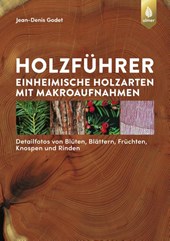 Holzführer