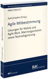 Agile Mitbestimmung