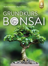 Grundkurs Bonsai