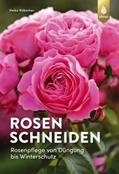 Rosen schneiden
