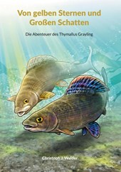 Von gelben Sternen und Großen Schatten