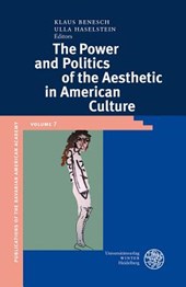 Power of Aesthetic in American Culture