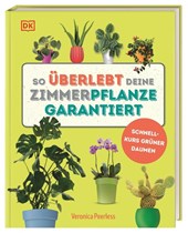 So überlebt deine Zimmerpflanze garantiert