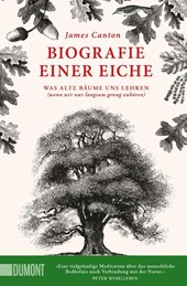 Biografie einer Eiche