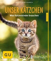 Unser Kätzchen