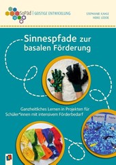 Sinnespfade zur basalen Förderung