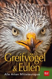 BLV Greifvögel & Eulen