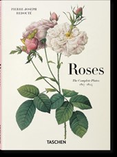 Redoute. Roses