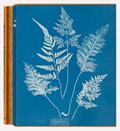 Anna Atkins. Cyanotypes