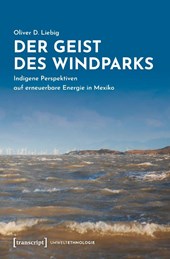 Der Geist des Windparks