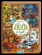 Ein Jahr im Wald