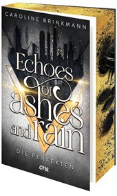 Echoes of Ashes and Rain - Die Perfekten