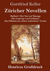 Zuricher Novellen (Großdruck)