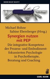 Synergien nutzen mit PEP