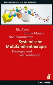 Systemische Multifamilientherapie