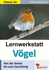 Lernwerkstatt Vögel Von der Amsel bis zum Zaunkönig