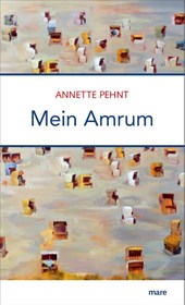 Mein Amrum